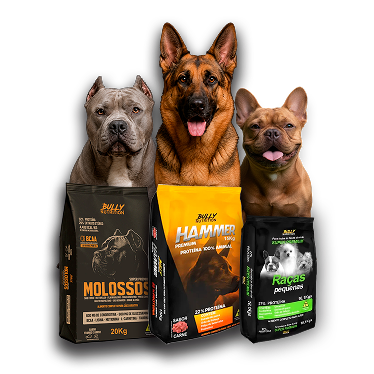 Oferta Bully Nutrition